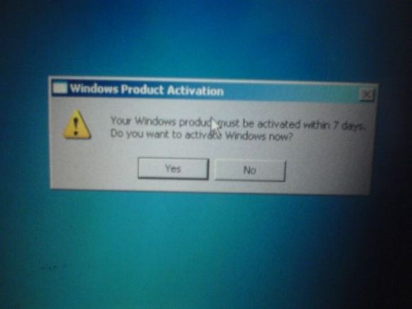 windows xp