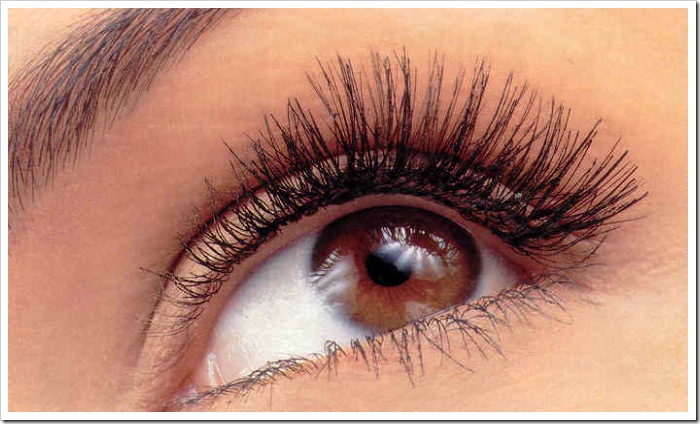 What is Wave Front Lasik? What is Wave Front Lasik?