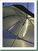 umbrella